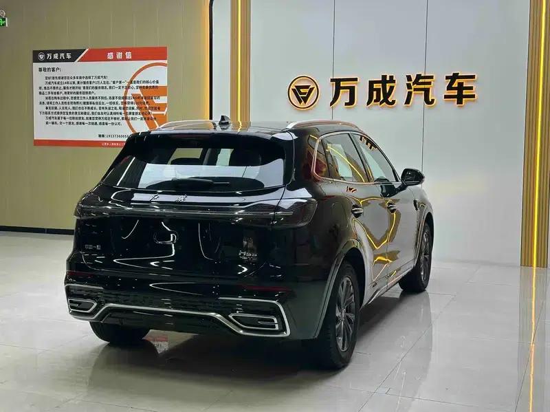 Hongqi HS5 2024 2.0T Flagship Pro 500,000th Unit Commemorative Edition — миниатюра 6