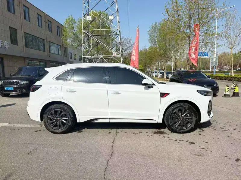 Hongqi HS5 2023 2.0T Flagship Pro Edition — миниатюра 5