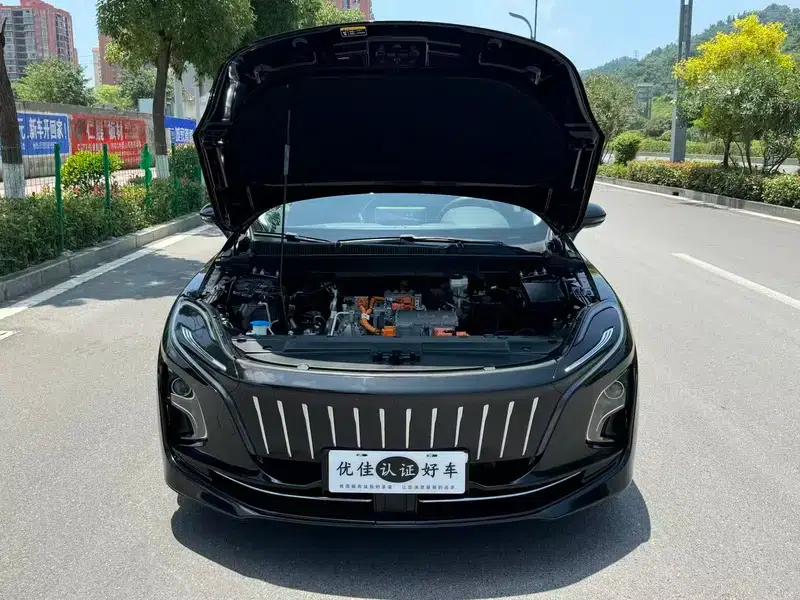 Hongqi E-QM5 2022 Model, 431km Charging Range Enjoy Edition, 5 Seats — миниатюра 7