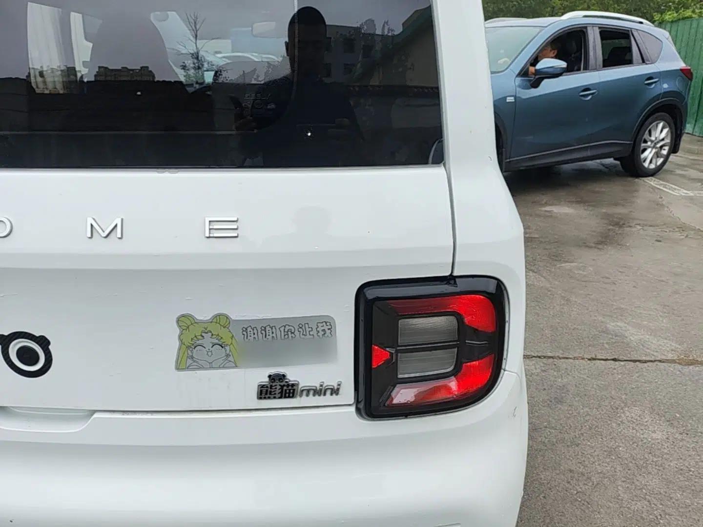 Geely Galaxy Panda 2024 Panda Mini 200km Endurance Bear — миниатюра 9