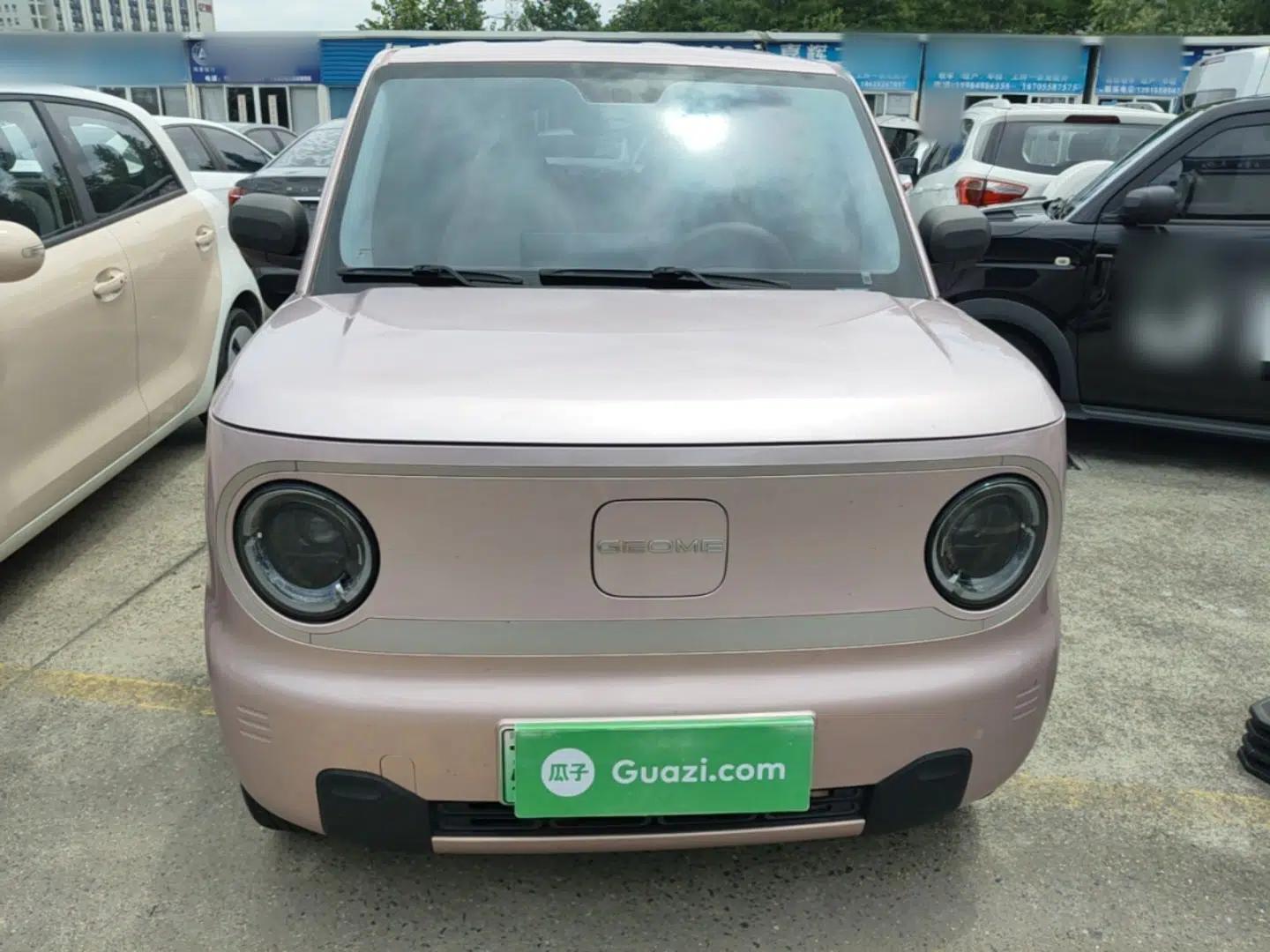 Geely Galaxy Panda 2023 Panda Mini 200km Endurance Bear — миниатюра 2