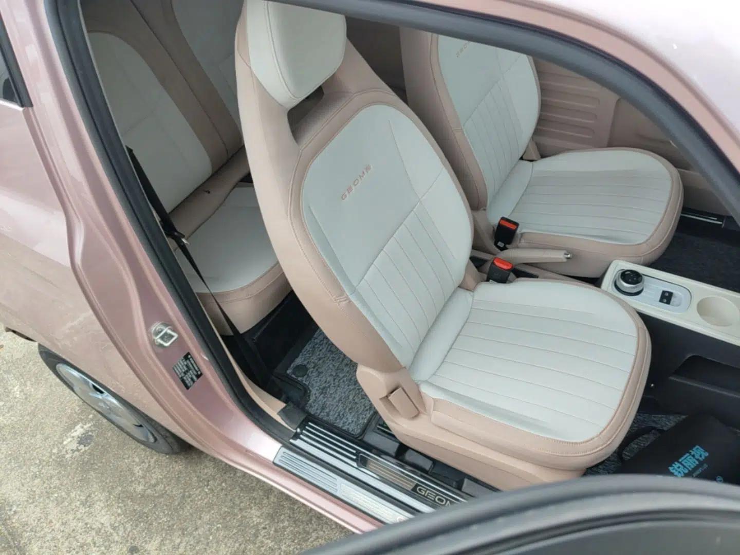 Geely Galaxy Panda 2023 Panda Mini 200km Endurance Bear — миниатюра 19