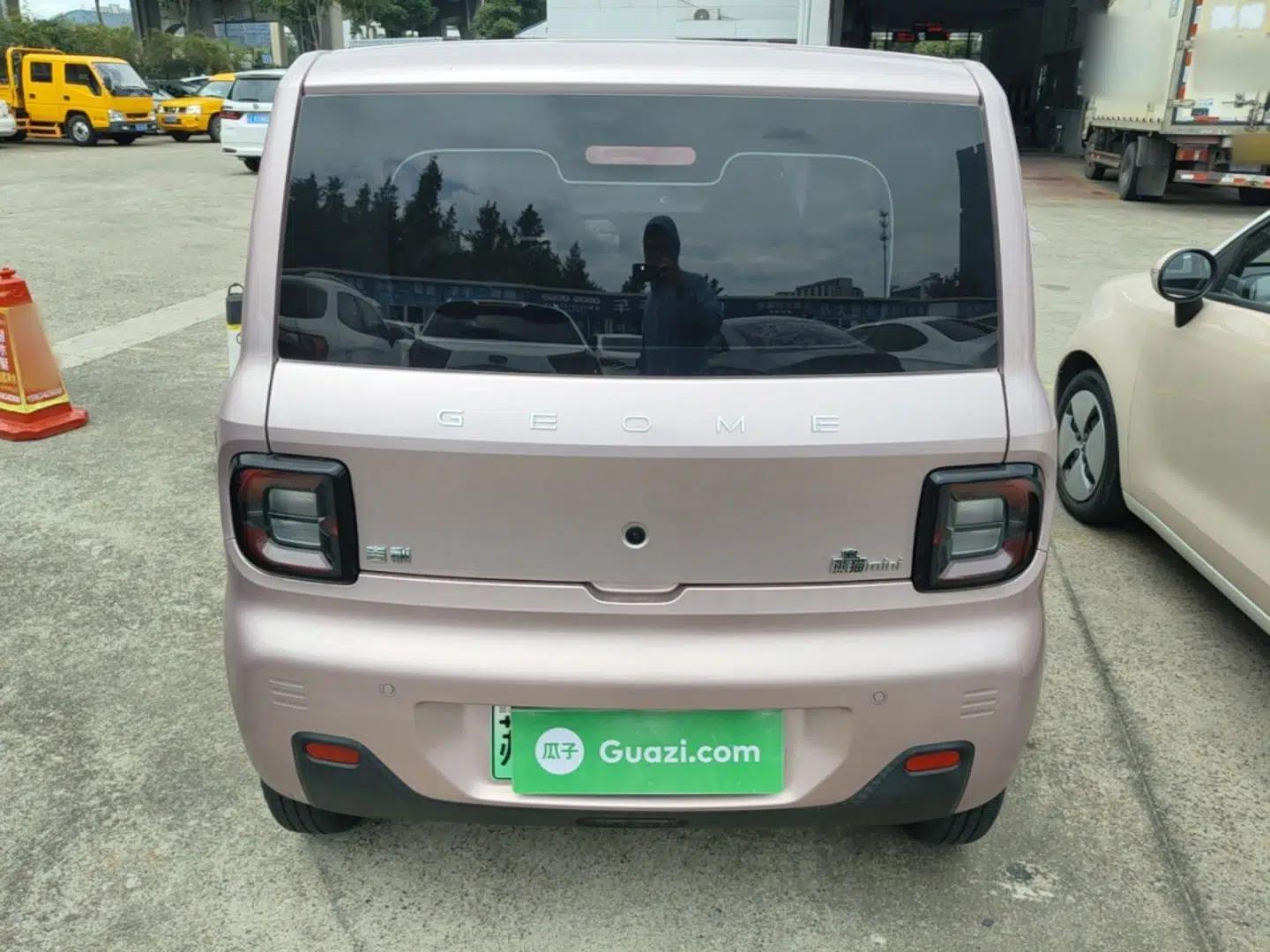 Geely Galaxy Panda 2023 Panda Mini 200km Endurance Bear — миниатюра 5