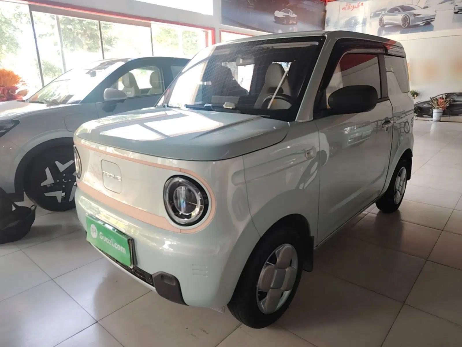 Geely Galaxy Panda 2024 Panda Mini 200km Endurance Bear — миниатюра 1