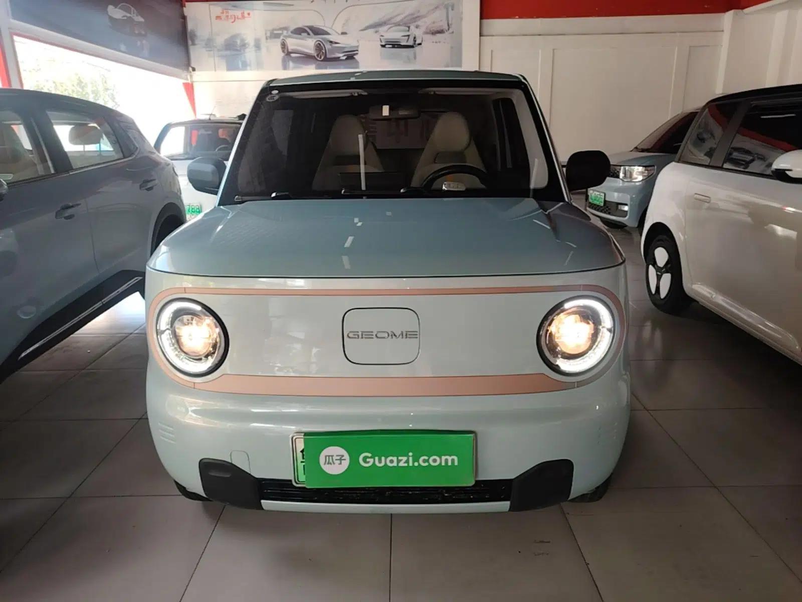 Geely Galaxy Panda 2024 Panda Mini 200km Endurance Bear — миниатюра 2