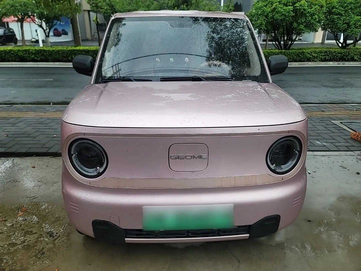 Geely Galaxy Panda 2023 Panda Mini 200km Endurance Bear — миниатюра 2