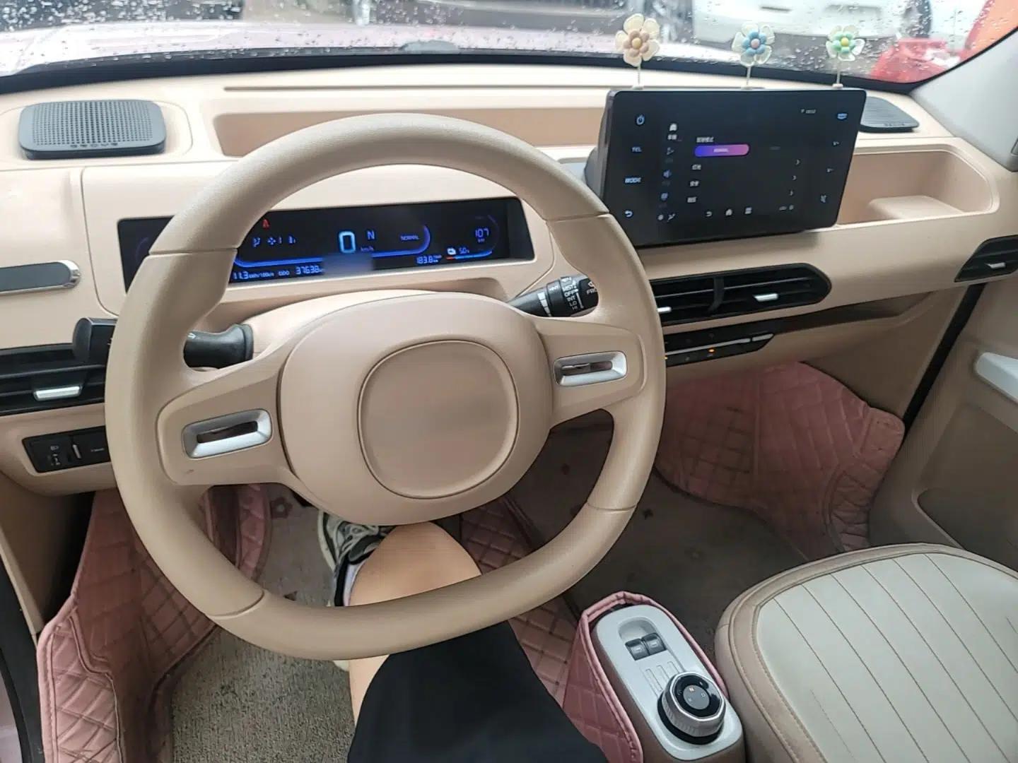 Geely Galaxy Panda 2023 Panda Mini 200km Endurance Bear — миниатюра 12