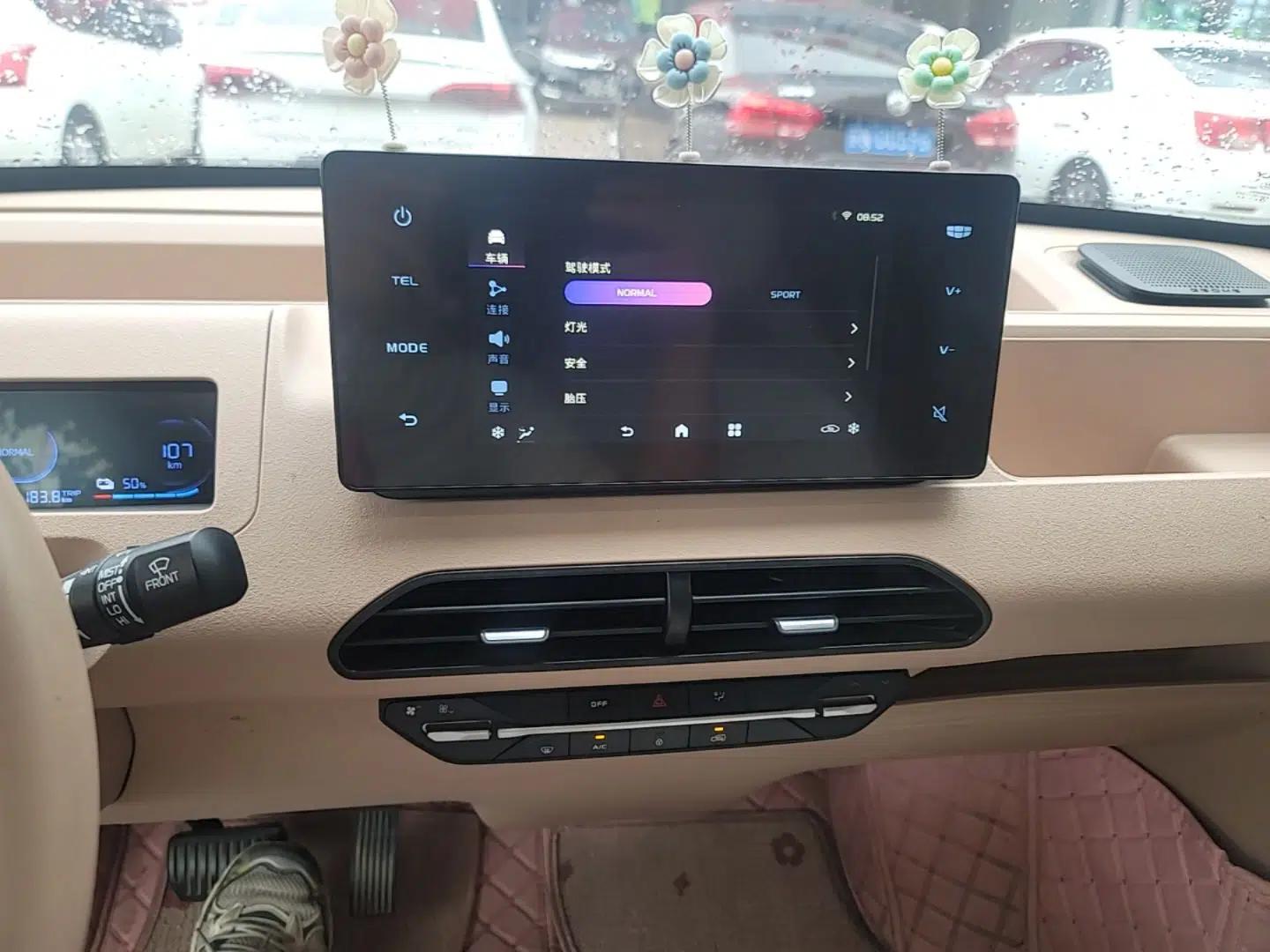 Geely Galaxy Panda 2023 Panda Mini 200km Endurance Bear — миниатюра 15