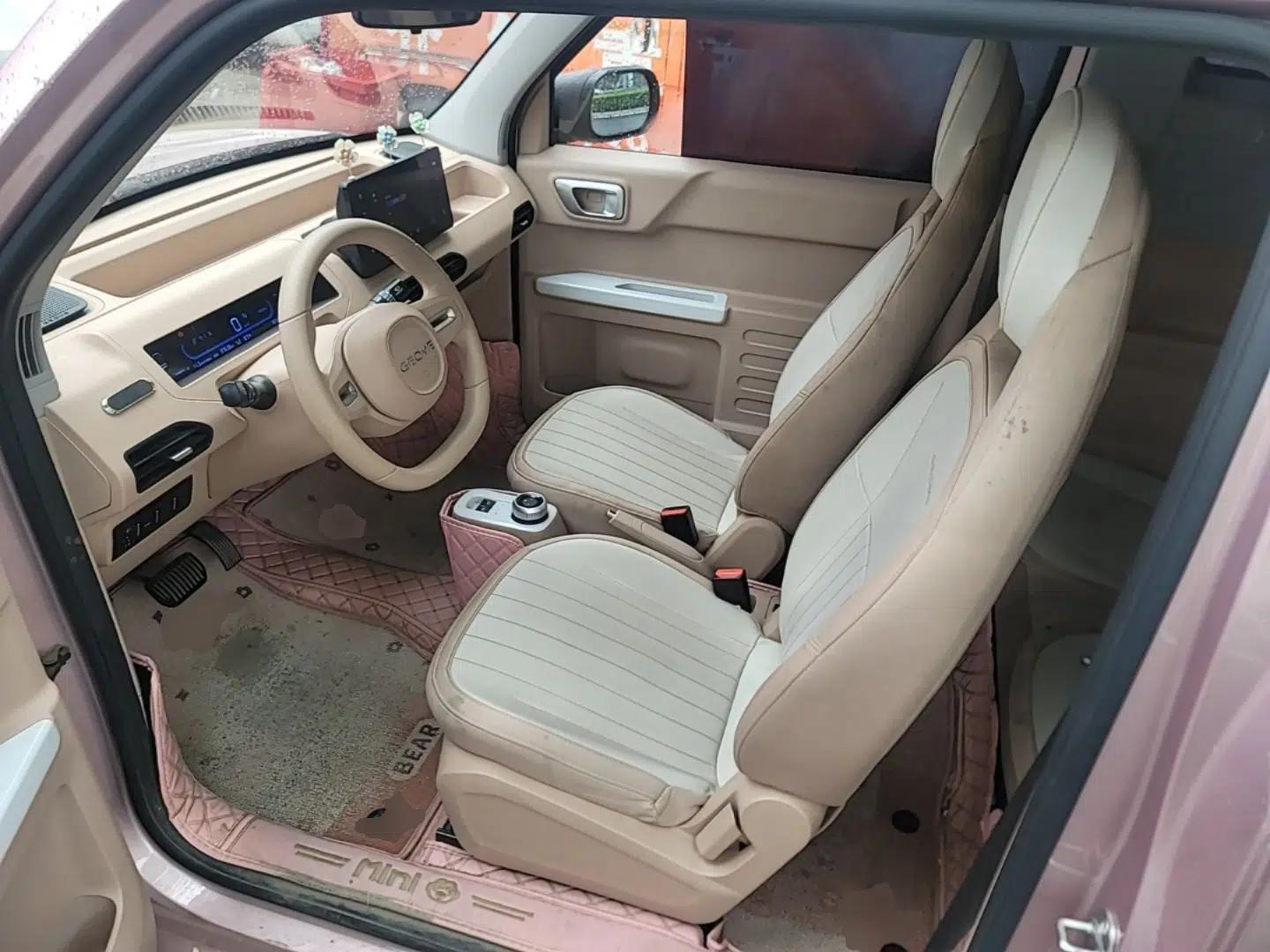 Geely Galaxy Panda 2023 Panda Mini 200km Endurance Bear — миниатюра 17