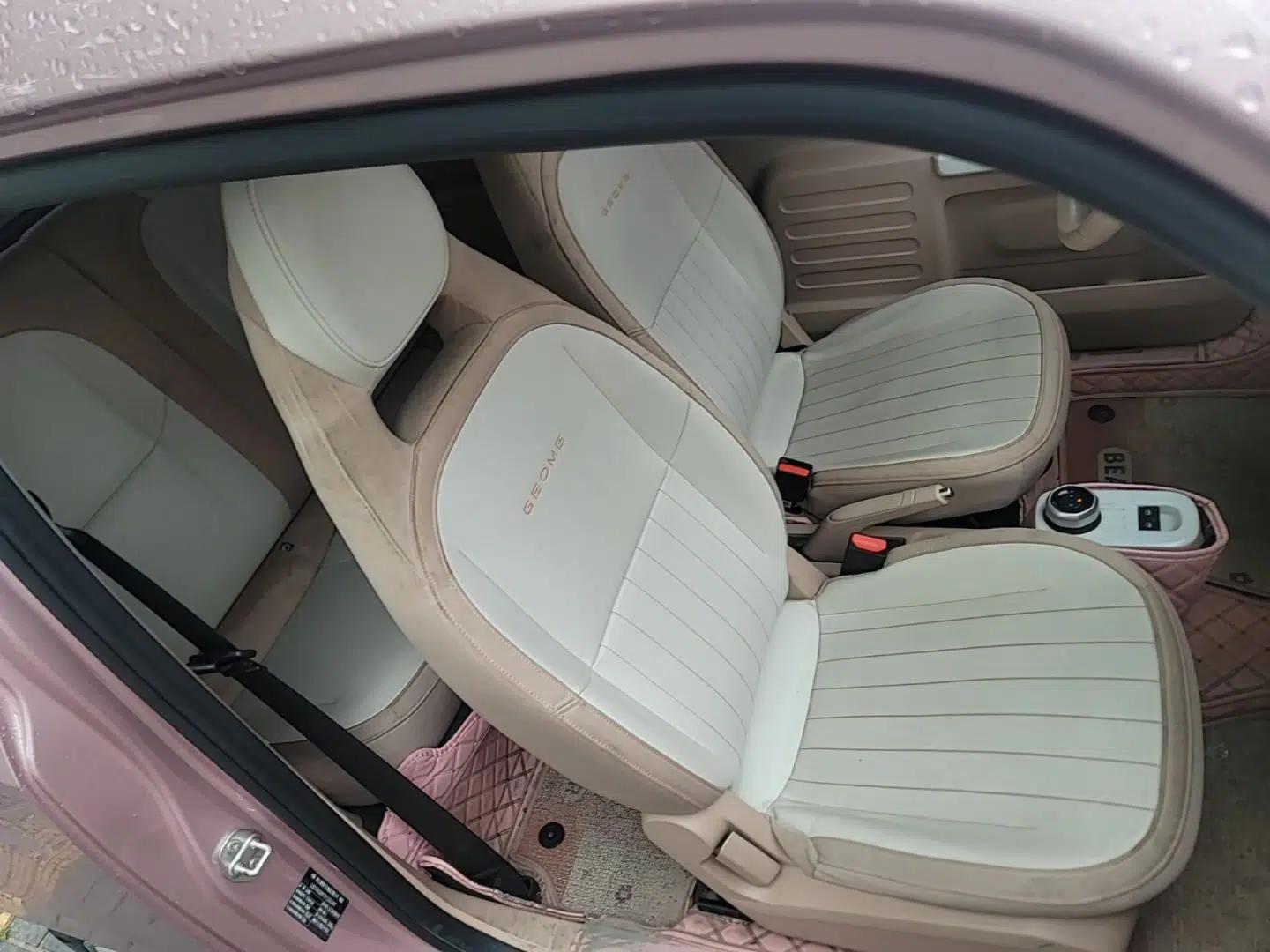 Geely Galaxy Panda 2023 Panda Mini 200km Endurance Bear — миниатюра 19