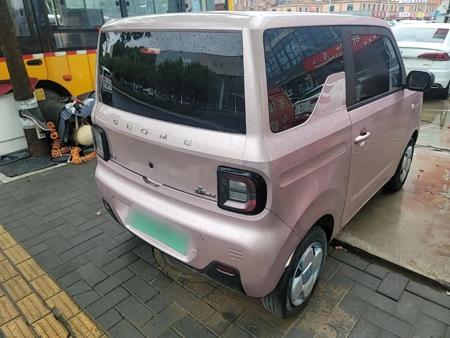 Geely Galaxy Panda 2023 Panda Mini 200km Endurance Bear — миниатюра 6