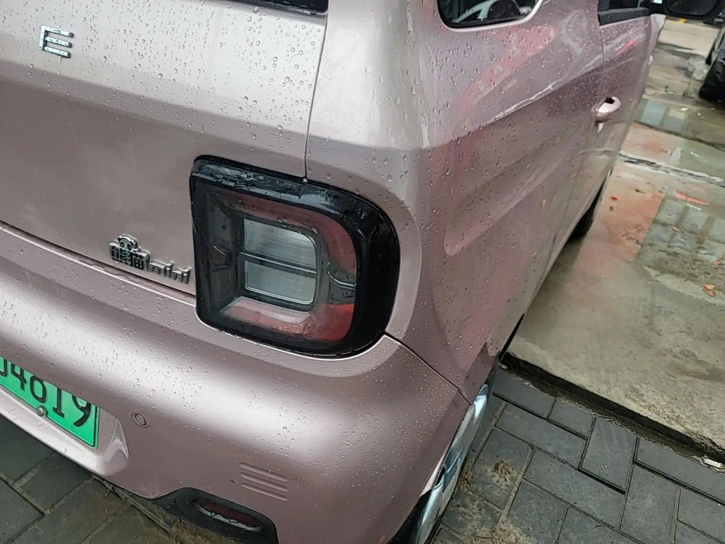 Geely Galaxy Panda 2023 Panda Mini 200km Endurance Bear — миниатюра 9