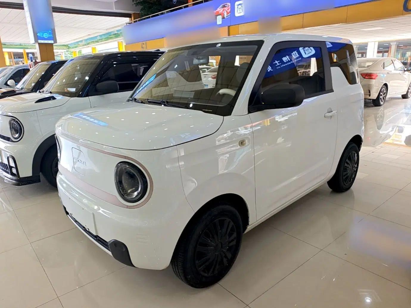 Geely Galaxy Panda 2023 Panda Mini 200km Endurance Bear — миниатюра 1