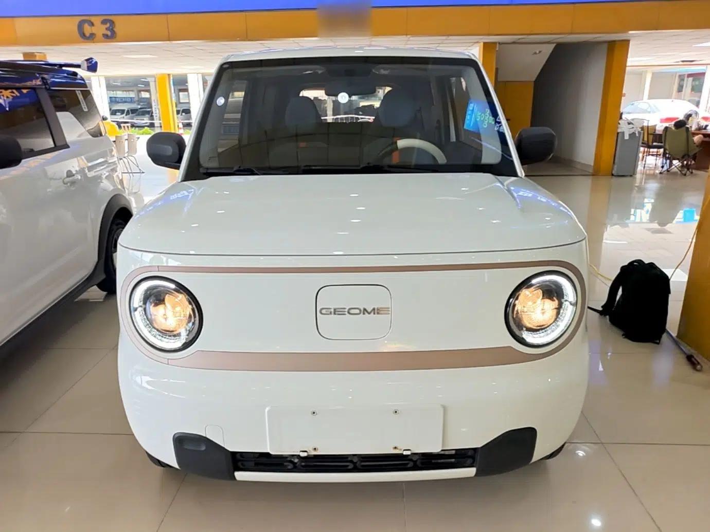 Geely Galaxy Panda 2023 Panda Mini 200km Endurance Bear — миниатюра 2
