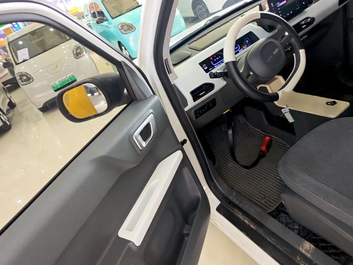 Geely Galaxy Panda 2023 Panda Mini 200km Endurance Bear — миниатюра 18