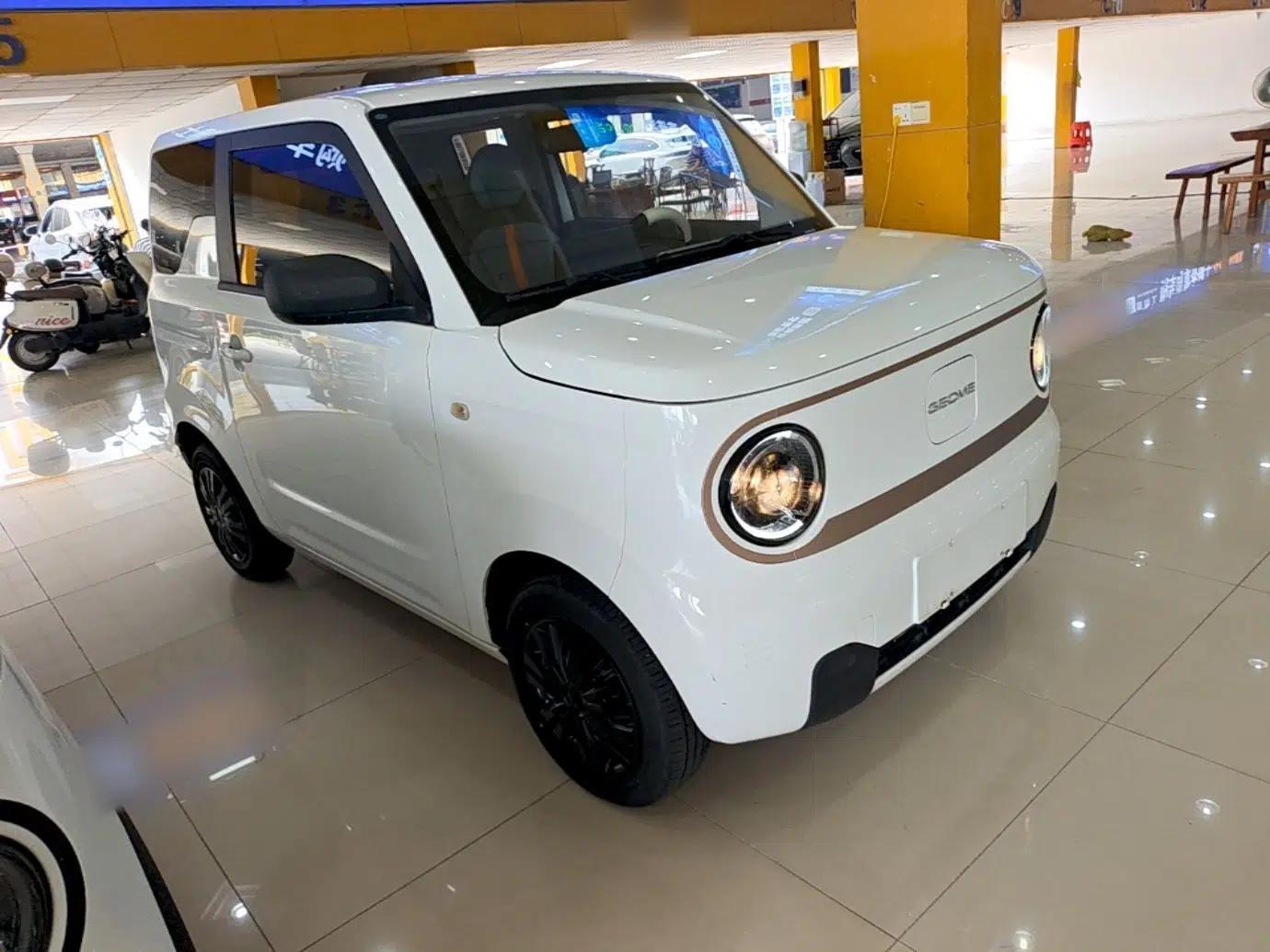 Geely Galaxy Panda 2023 Panda Mini 200km Endurance Bear — миниатюра 3