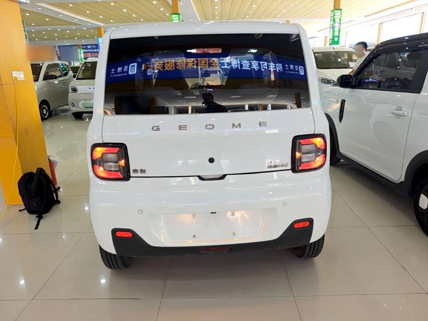 Geely Galaxy Panda 2023 Panda Mini 200km Endurance Bear — миниатюра 5