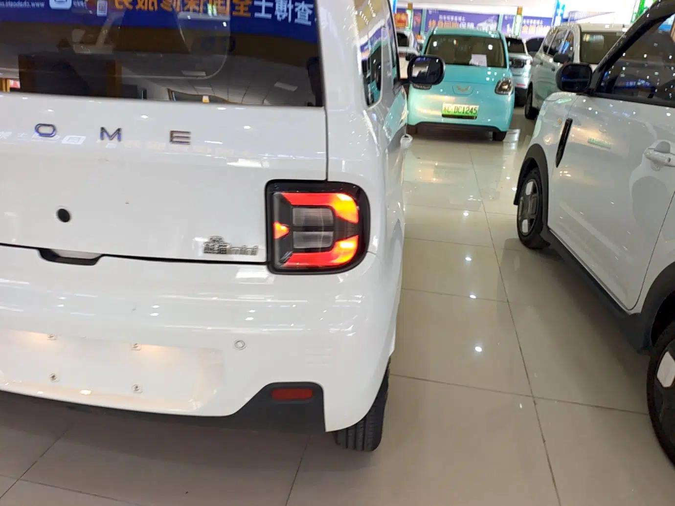 Geely Galaxy Panda 2023 Panda Mini 200km Endurance Bear — миниатюра 9