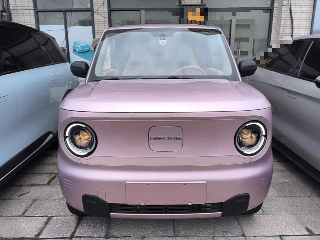 Geely Galaxy Panda 2023 Panda Mini 200km Endurance Bear — миниатюра 2