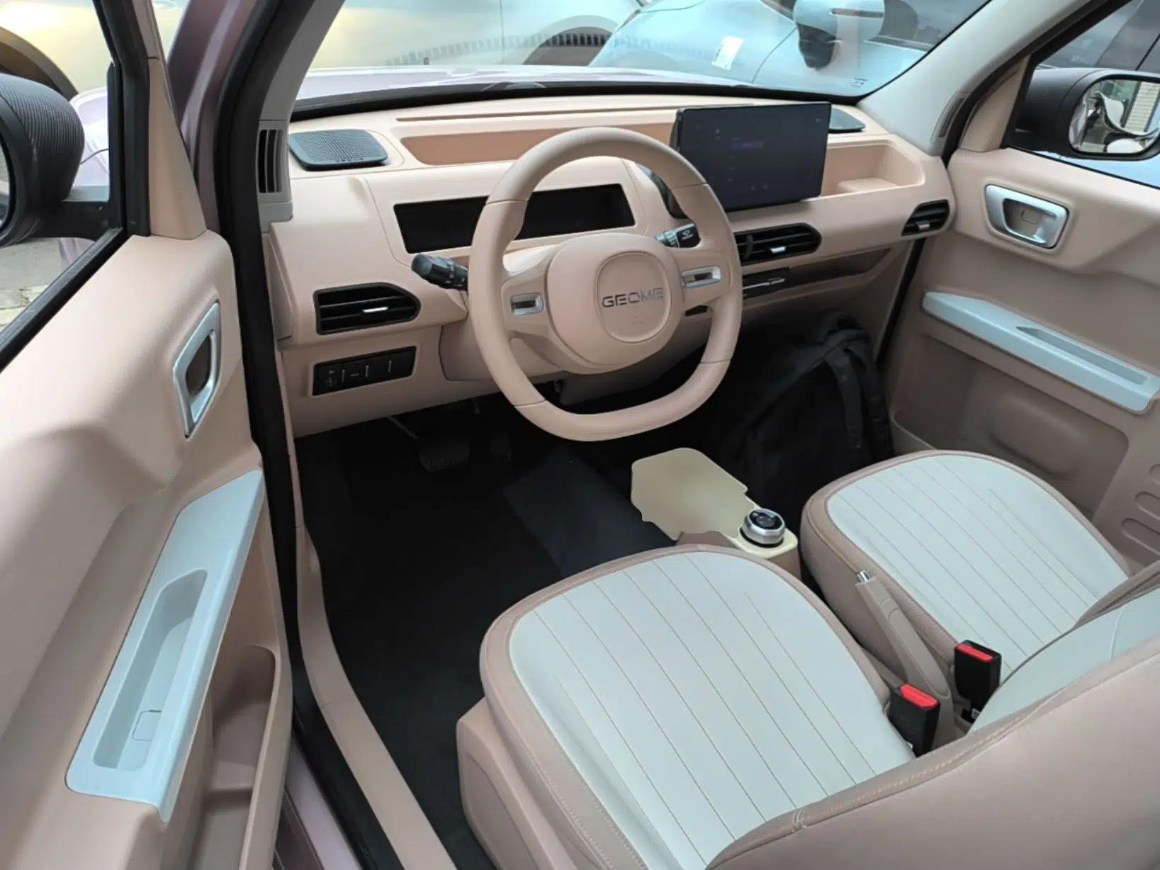 Geely Galaxy Panda 2023 Panda Mini 200km Endurance Bear — миниатюра 18