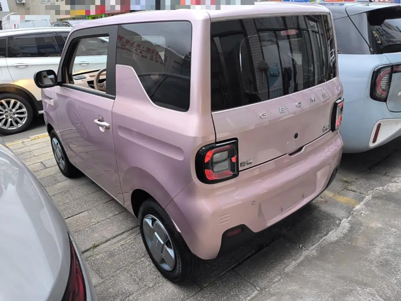 Geely Galaxy Panda 2023 Panda Mini 200km Endurance Bear — миниатюра 4