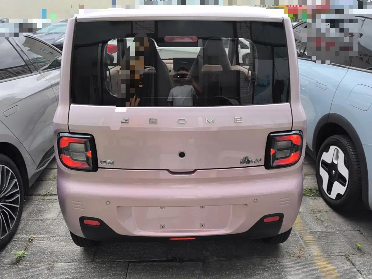 Geely Galaxy Panda 2023 Panda Mini 200km Endurance Bear — миниатюра 5