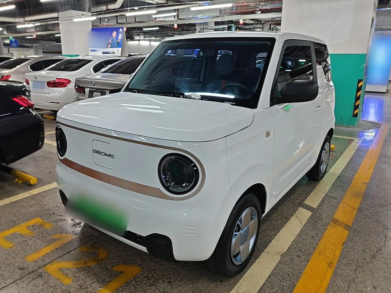 Geely Galaxy Panda 2023 Panda Mini 200km Endurance Bear — миниатюра 1