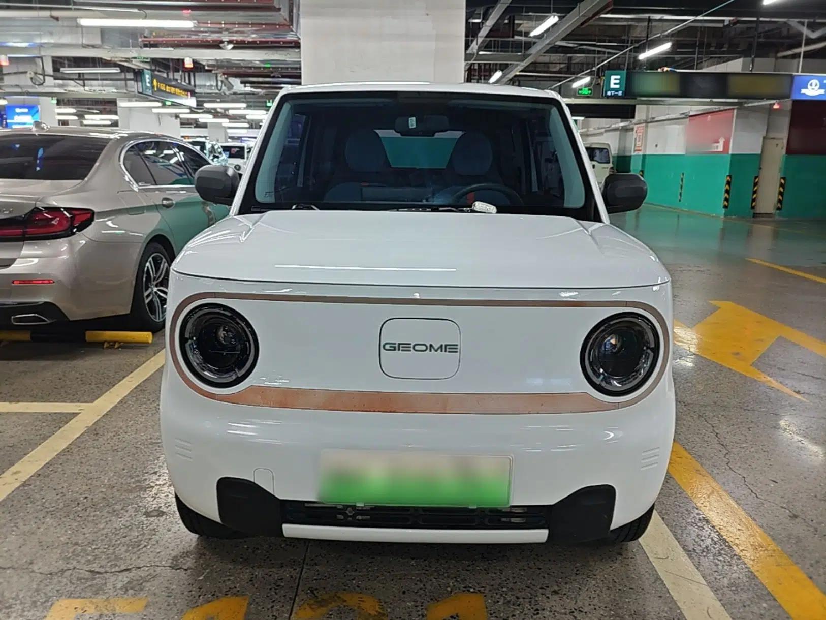 Geely Galaxy Panda 2023 Panda Mini 200km Endurance Bear — миниатюра 2