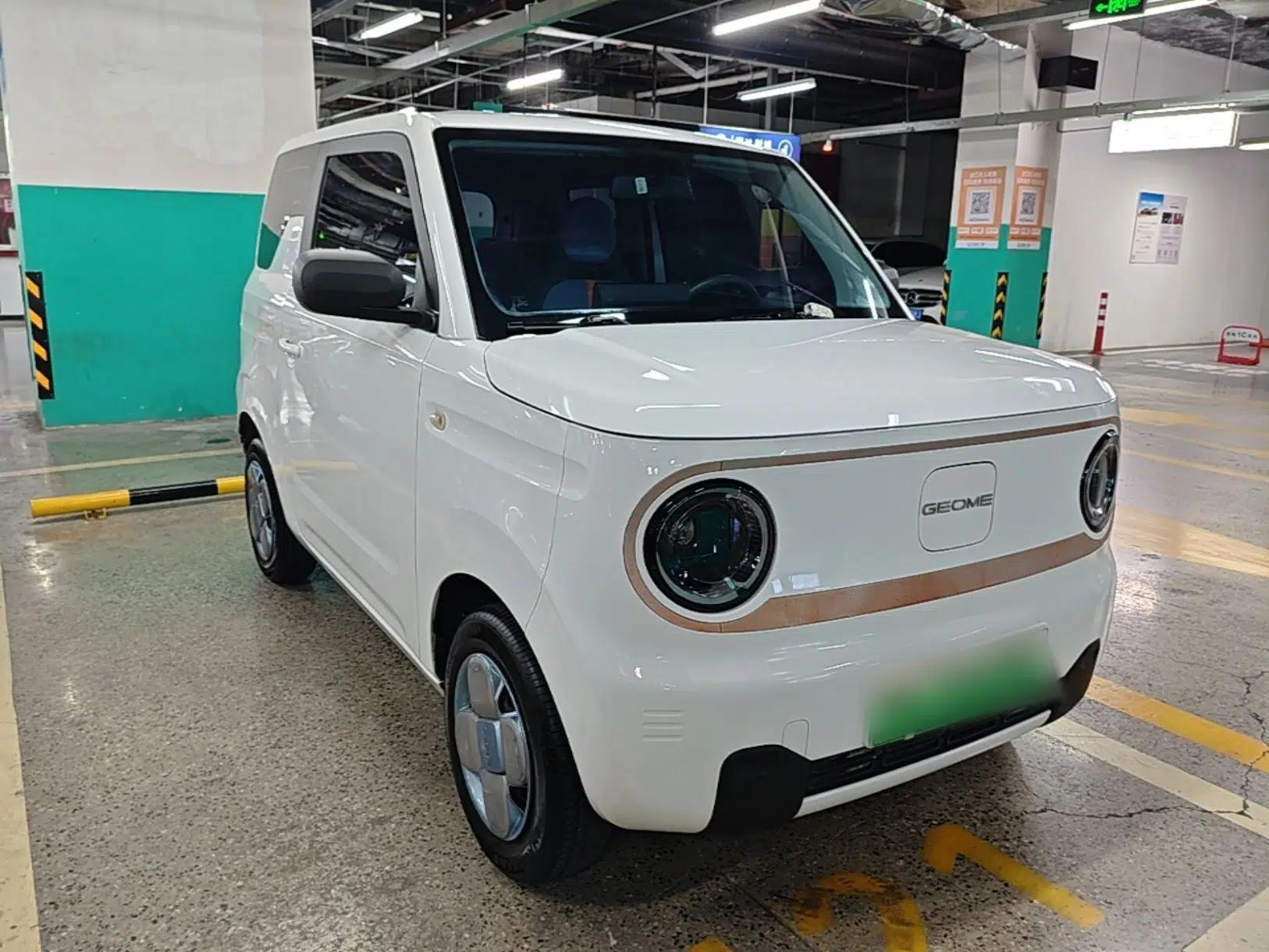 Geely Galaxy Panda 2023 Panda Mini 200km Endurance Bear — миниатюра 3