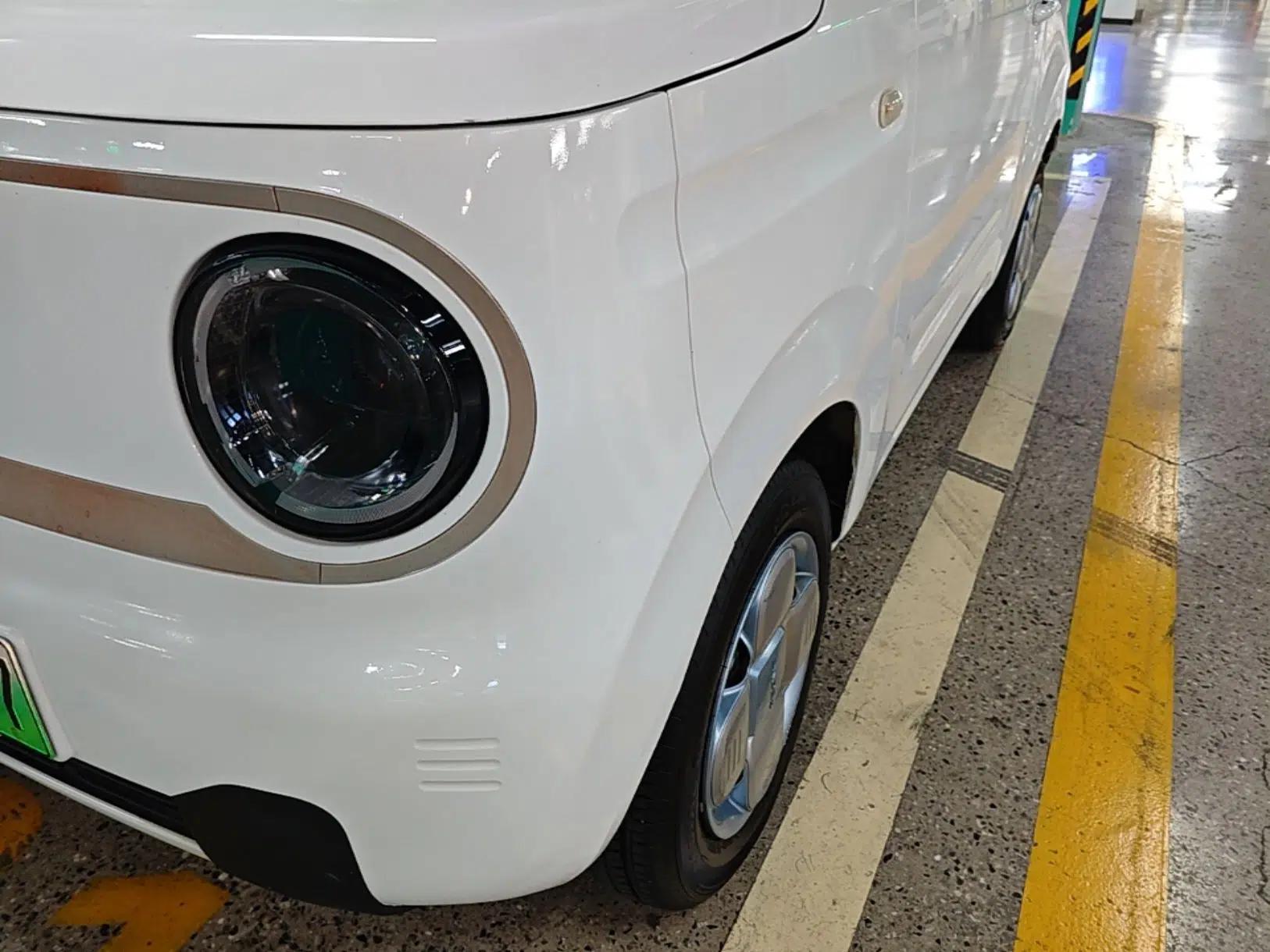 Geely Galaxy Panda 2023 Panda Mini 200km Endurance Bear — миниатюра 8