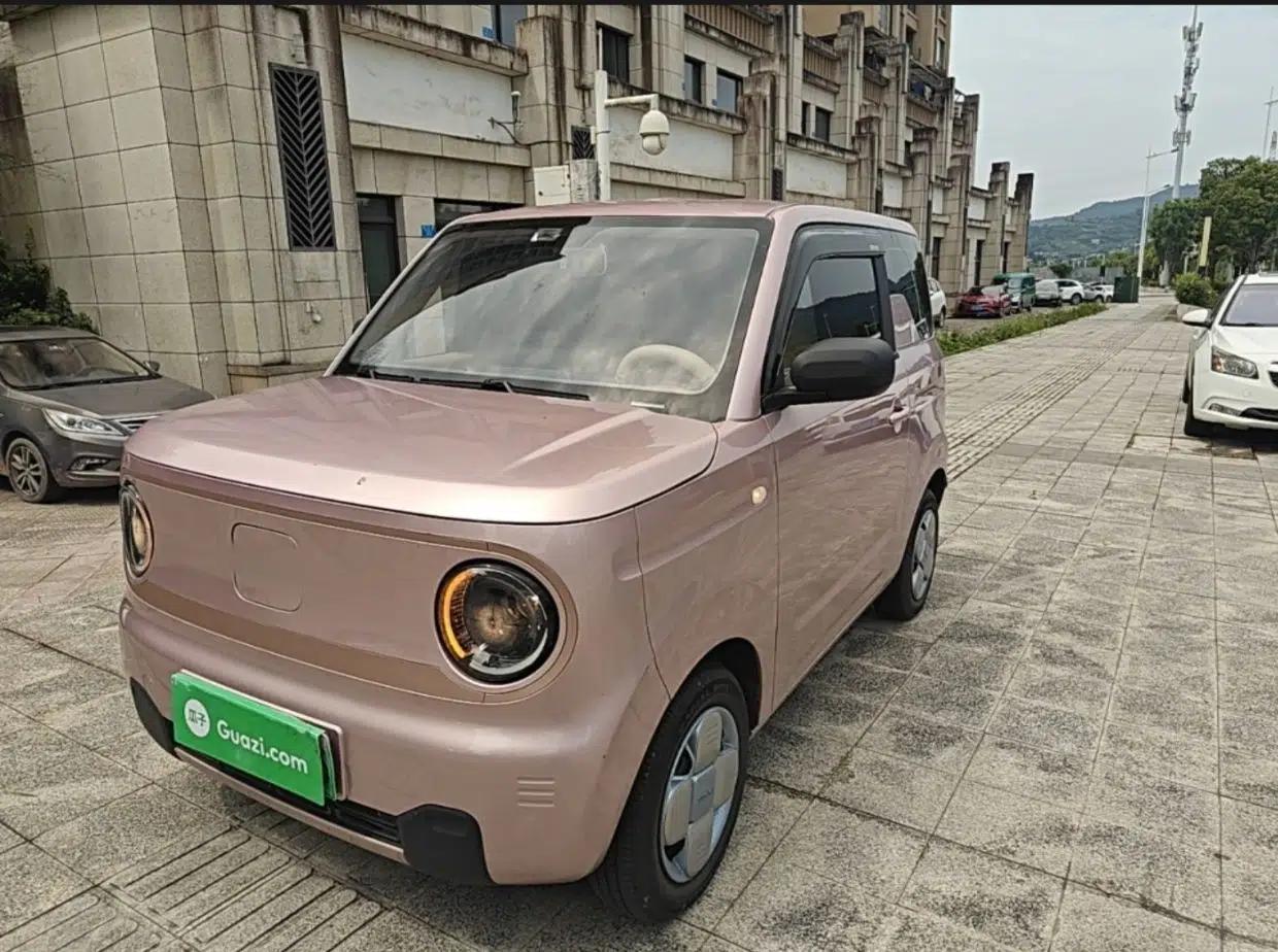 Geely Galaxy Panda 2024 Panda Mini 200km Endurance Bear — миниатюра 1