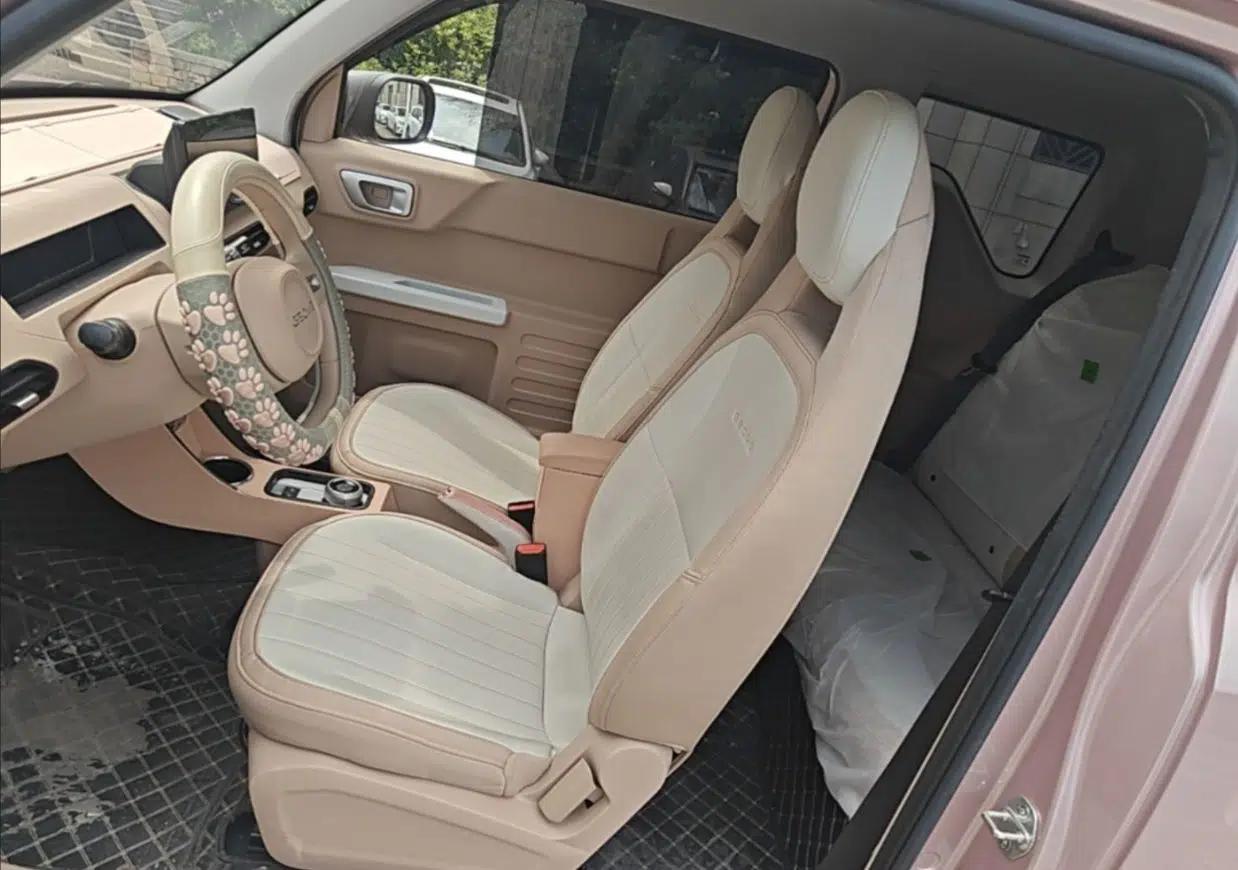 Geely Galaxy Panda 2024 Panda Mini 200km Endurance Bear — миниатюра 17