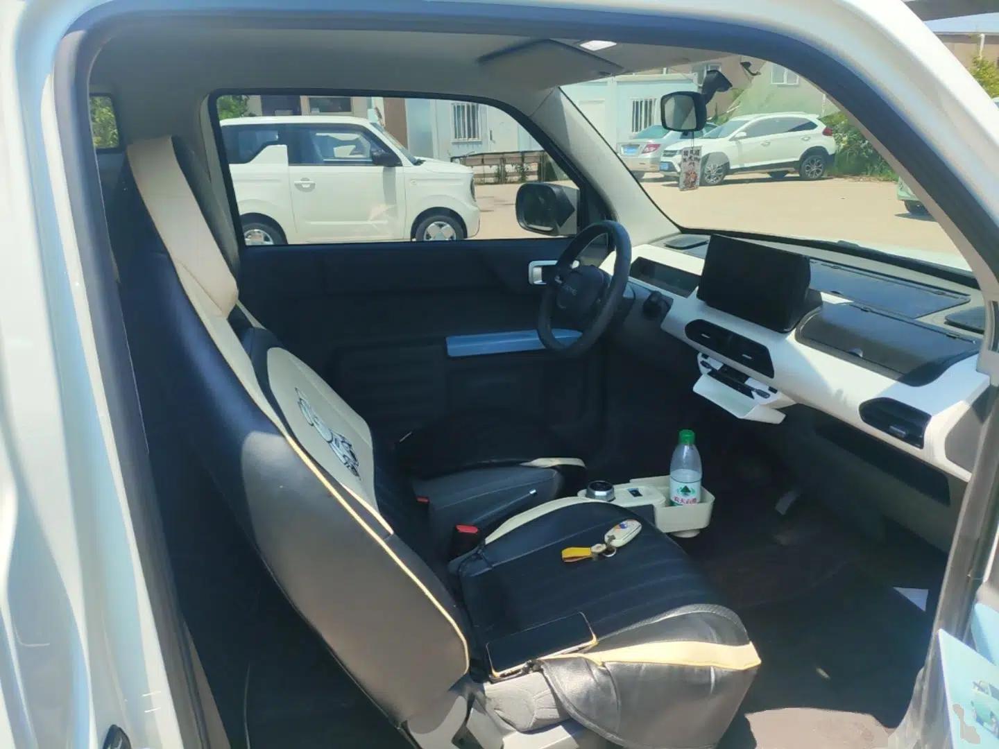 Geely Galaxy Panda 2024 Panda Mini 200km Endurance Bear — миниатюра 19