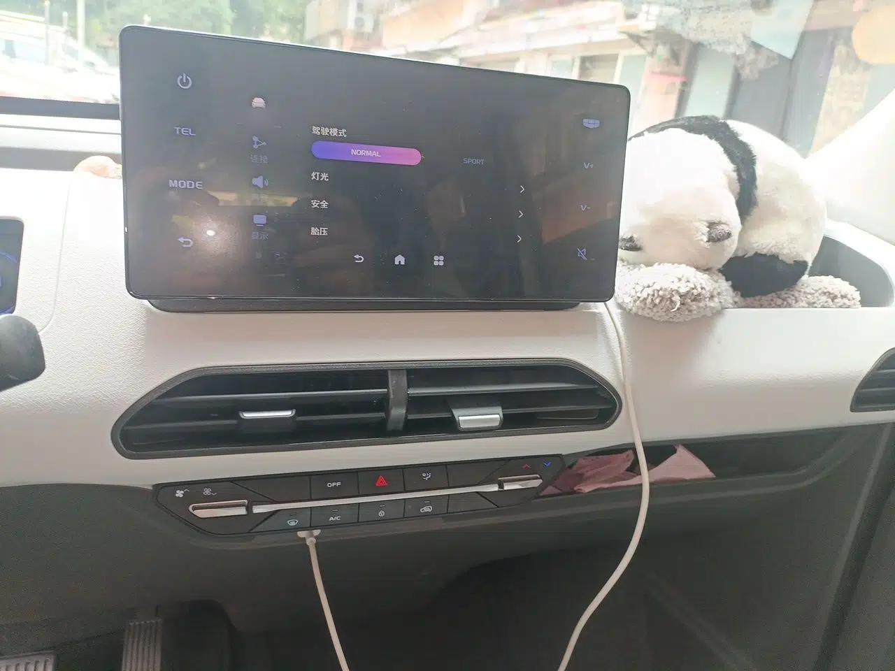 Geely Galaxy Panda 2023 Panda Mini 200km Endurance Bear — миниатюра 12