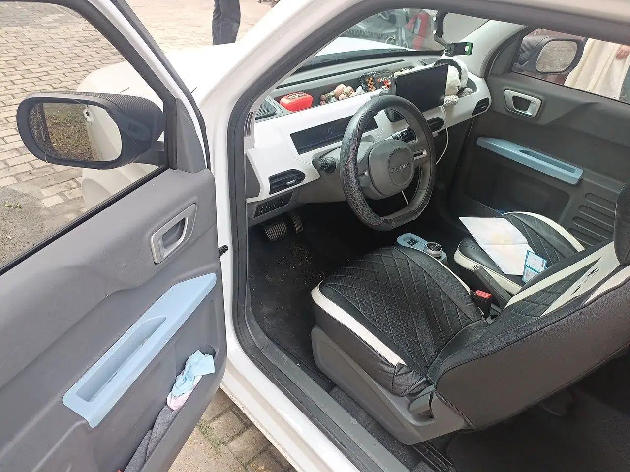 Geely Galaxy Panda 2023 Panda Mini 200km Endurance Bear — миниатюра 19