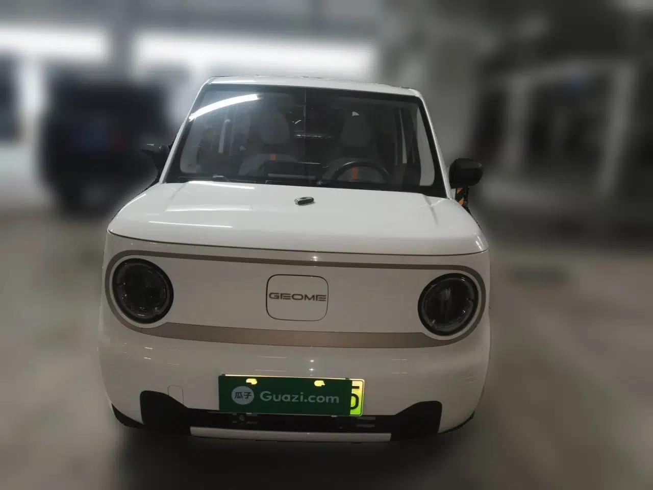 Geely Galaxy Panda 2023 Panda Mini 200km Endurance Bear — миниатюра 2
