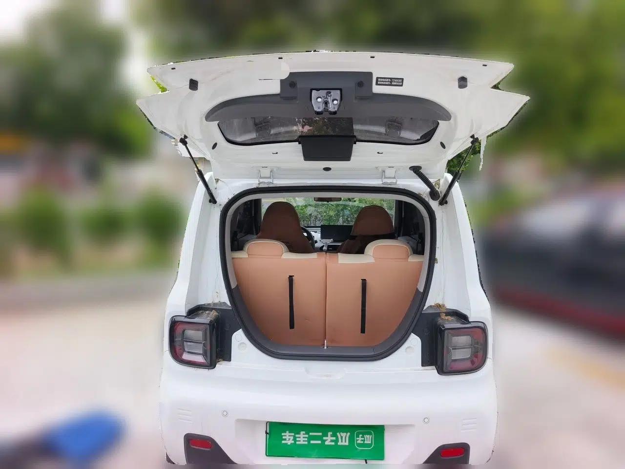Geely Galaxy Panda 2024 Panda Mini 200km Endurance Bear — миниатюра 19