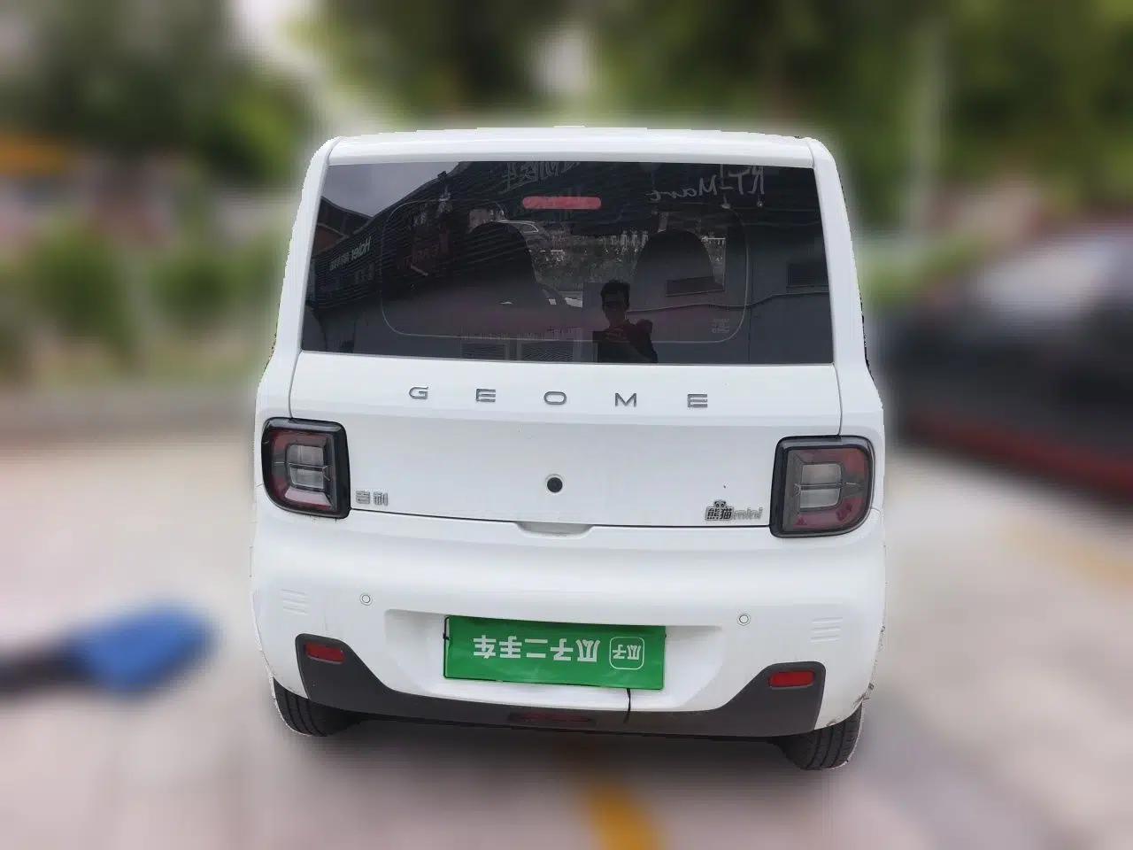 Geely Galaxy Panda 2024 Panda Mini 200km Endurance Bear — миниатюра 5