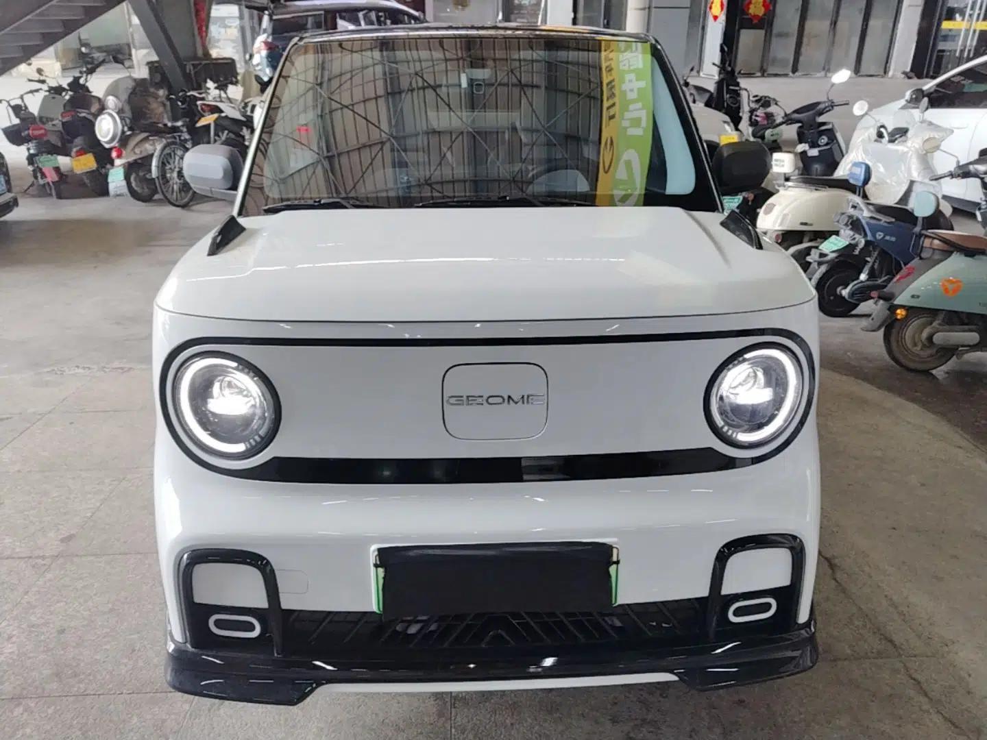 Geely Galaxy Panda 2025 210km Panda Kart — миниатюра 2