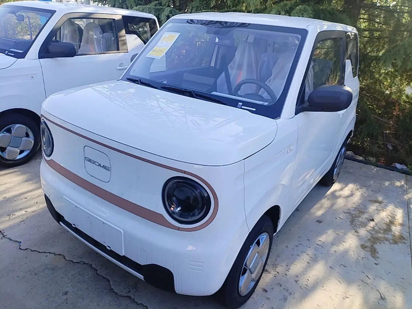 Geely Galaxy Panda 2024 Panda Mini 200km Endurance Bear — миниатюра 1