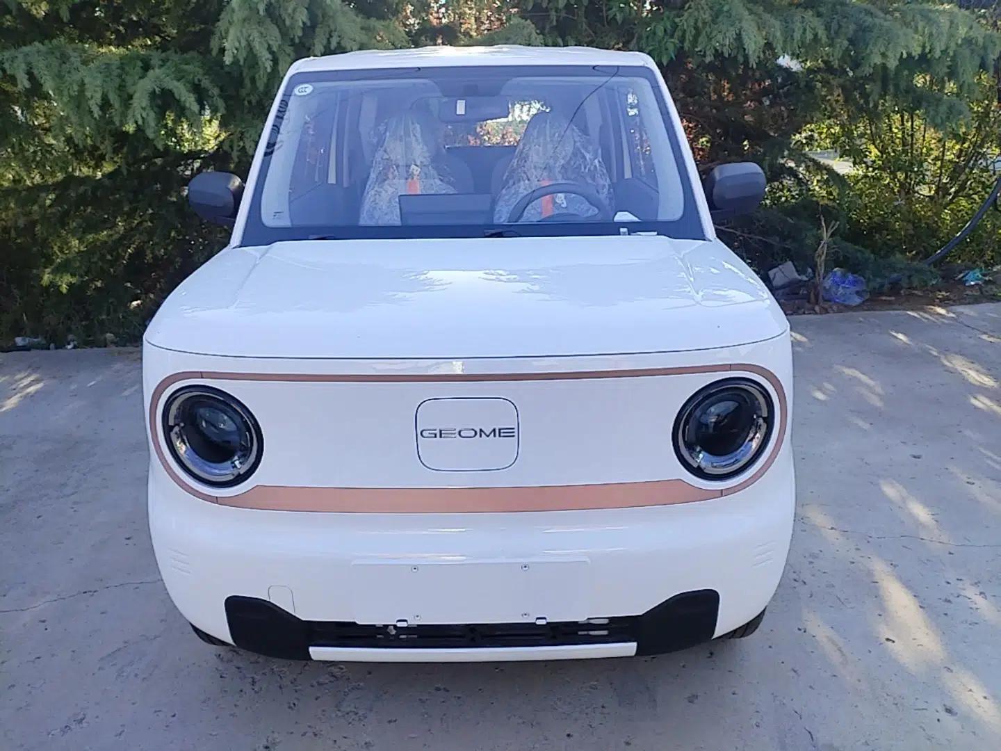 Geely Galaxy Panda 2024 Panda Mini 200km Endurance Bear — миниатюра 2