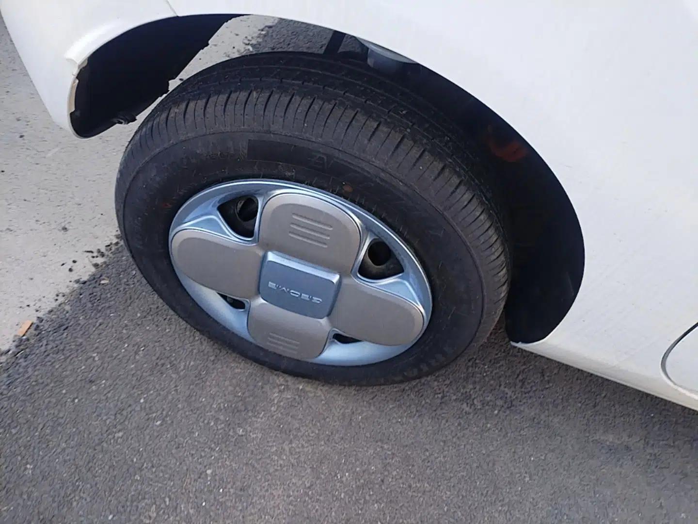 Geely Galaxy Panda 2024 Panda Mini 200km Endurance Bear — миниатюра 11