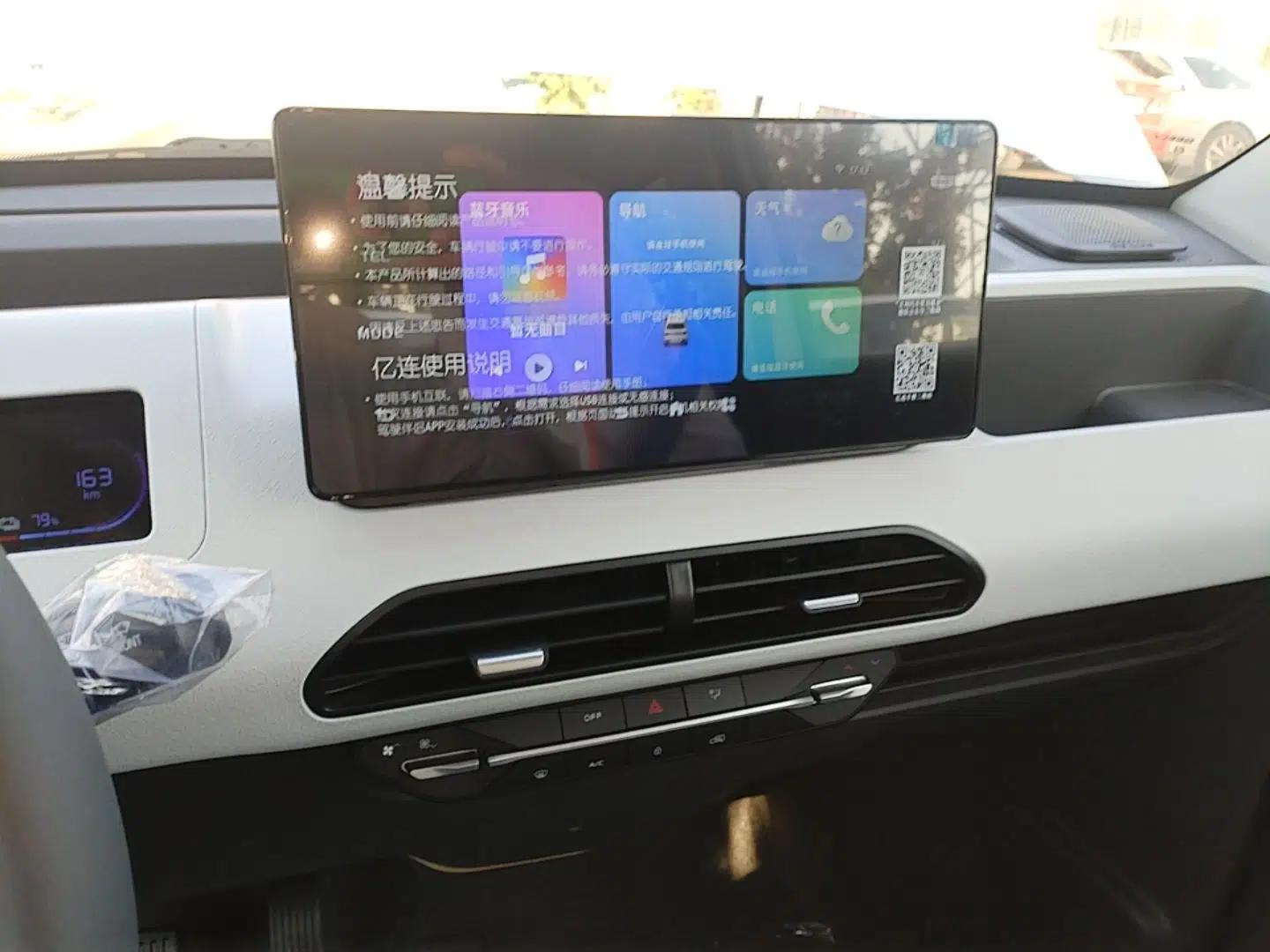 Geely Galaxy Panda 2024 Panda Mini 200km Endurance Bear — миниатюра 15