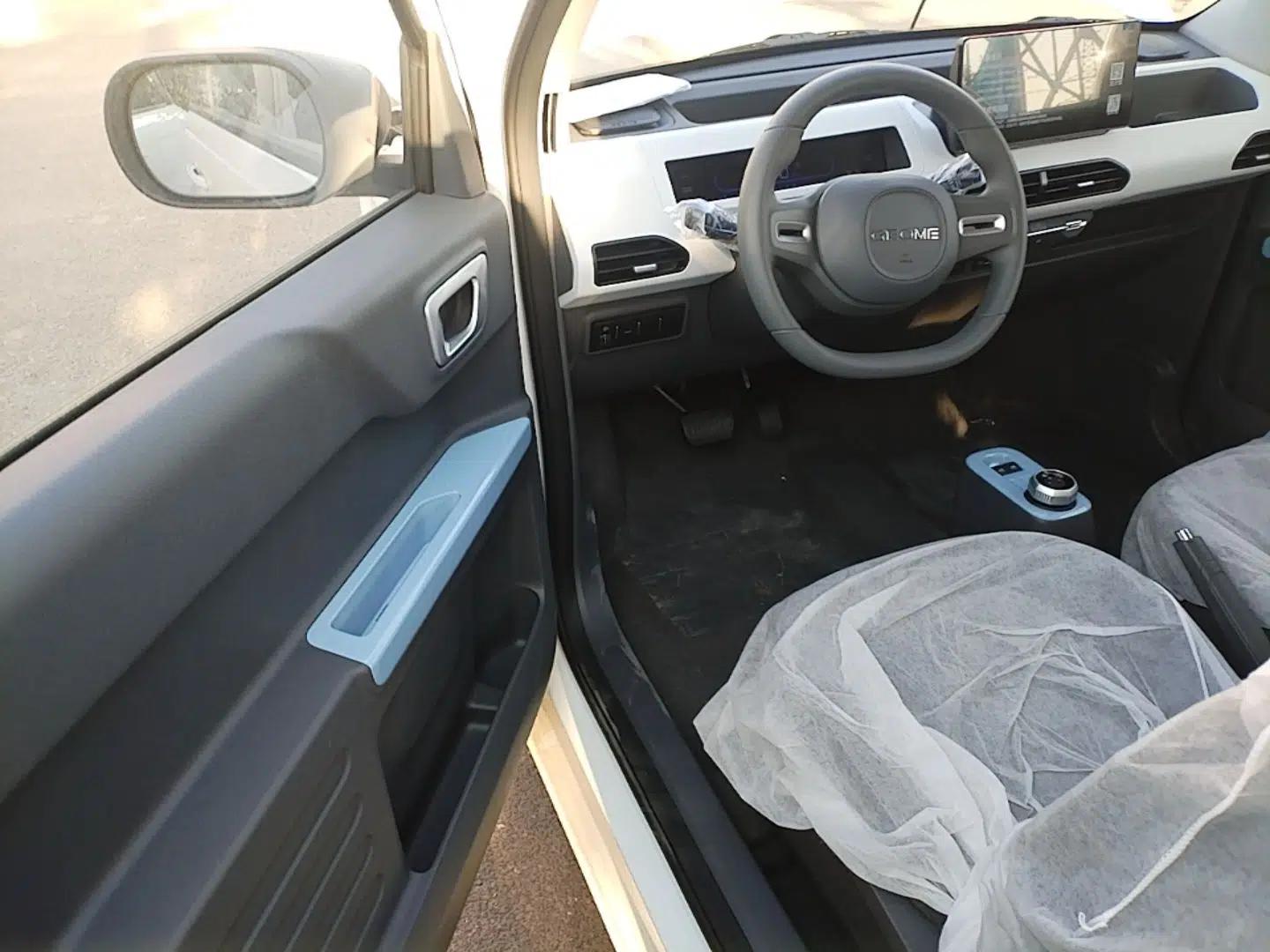 Geely Galaxy Panda 2024 Panda Mini 200km Endurance Bear — миниатюра 18