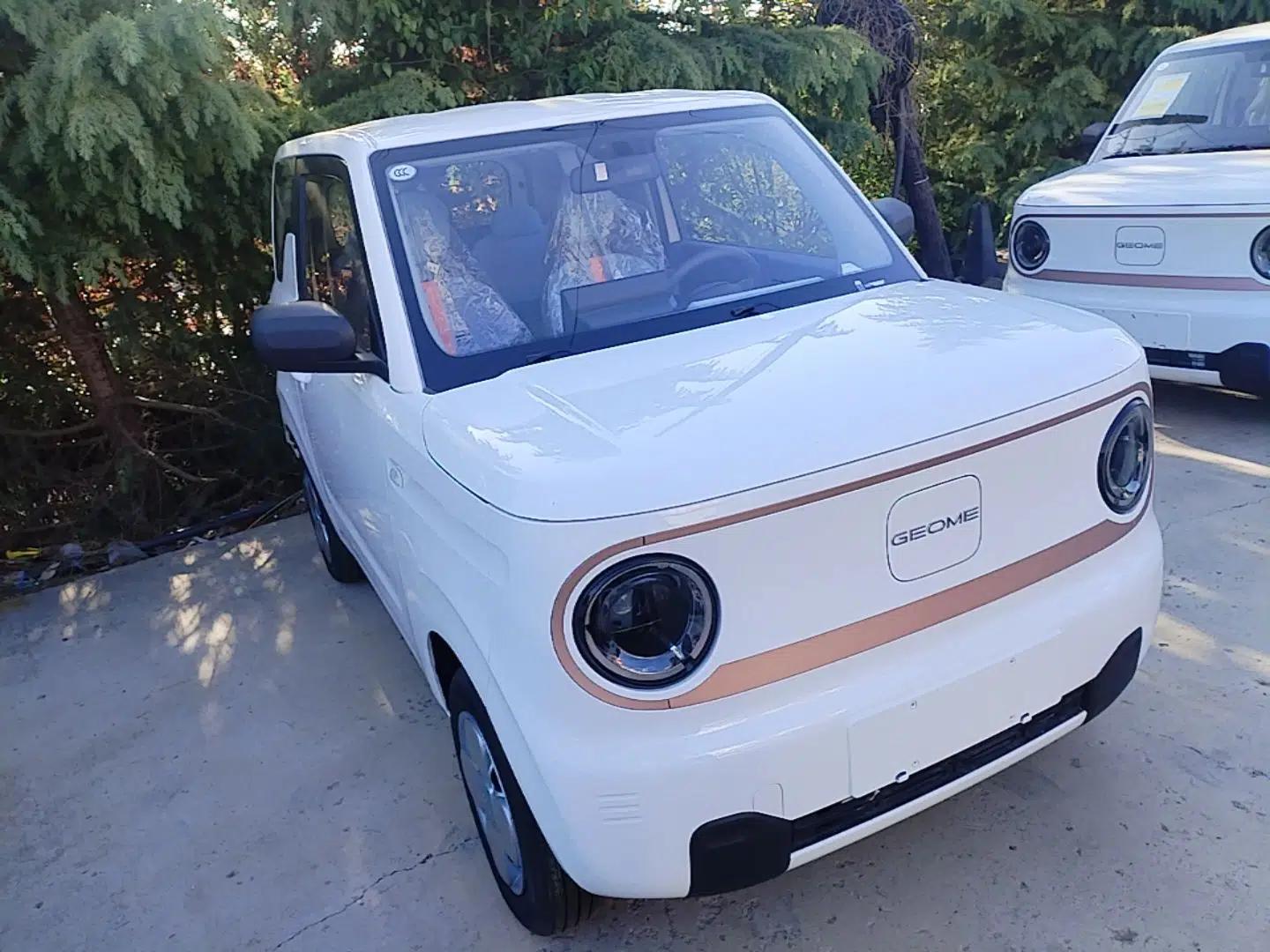 Geely Galaxy Panda 2024 Panda Mini 200km Endurance Bear — миниатюра 3