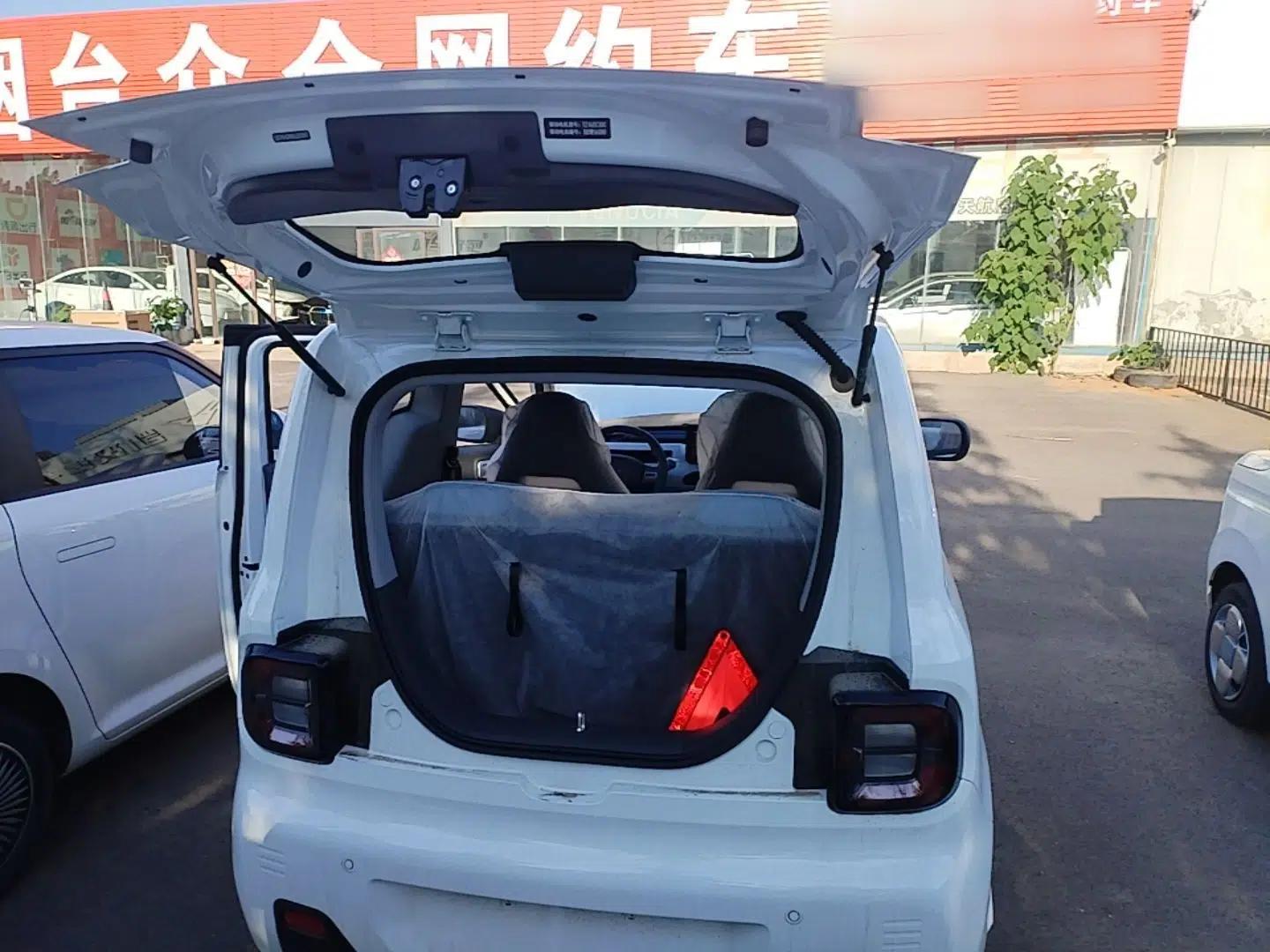 Geely Galaxy Panda 2024 Panda Mini 200km Endurance Bear — миниатюра 22