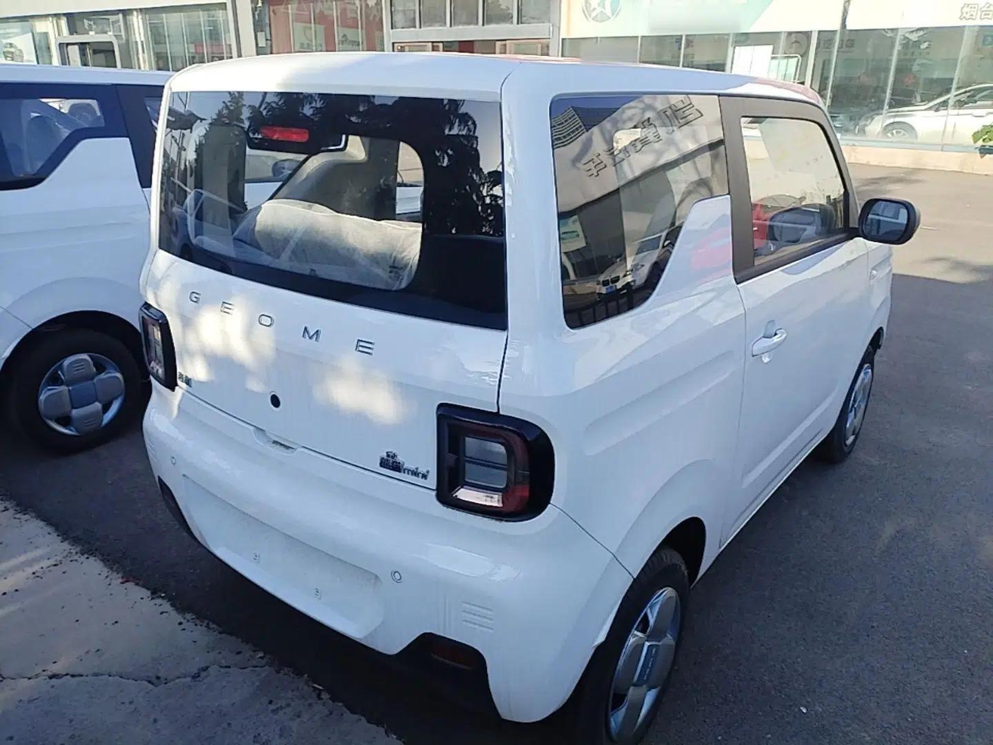 Geely Galaxy Panda 2024 Panda Mini 200km Endurance Bear — миниатюра 6
