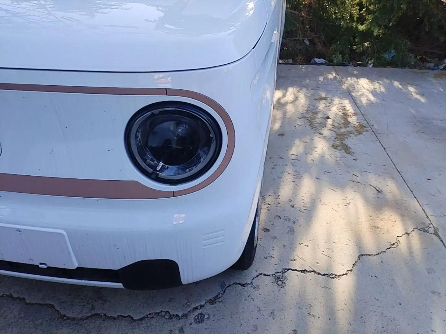 Geely Galaxy Panda 2024 Panda Mini 200km Endurance Bear — миниатюра 8