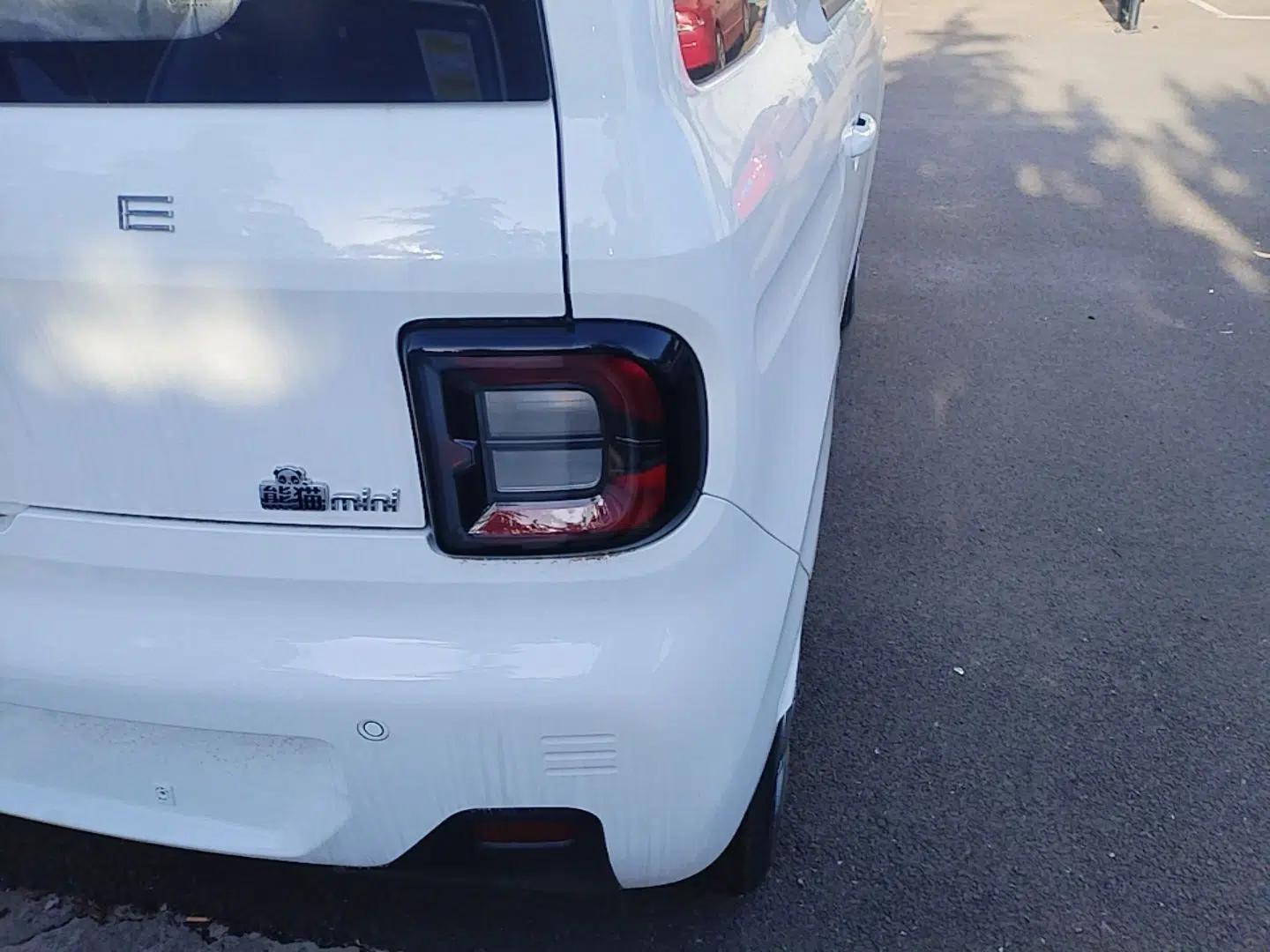 Geely Galaxy Panda 2024 Panda Mini 200km Endurance Bear — миниатюра 9