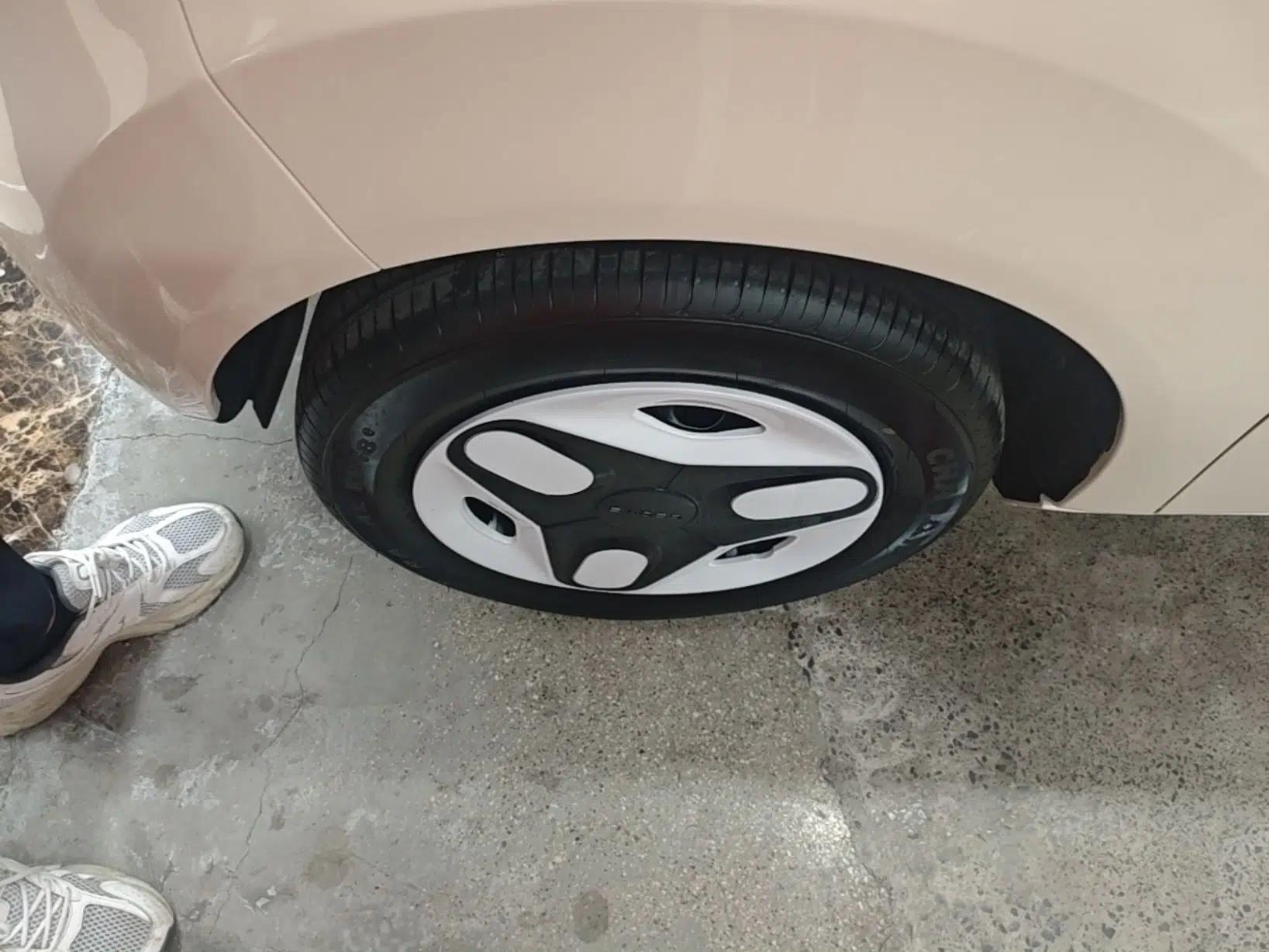 Geely Galaxy Panda 2025 210 km – Yuanqi Bear — миниатюра 10